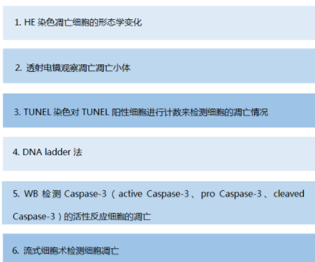 細(xì)胞、組織TUNEL凋亡染色實(shí)驗(yàn)服務(wù)