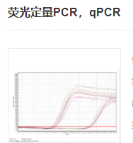 熒光定量PCR，qPCR實驗服務